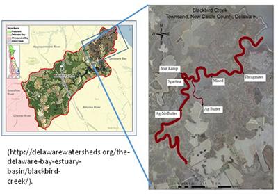 Presence and Plant Uptake of Heavy Metals in Tidal Marsh Wetland Soils